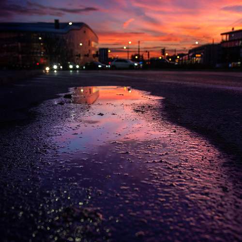 Photo #9829782