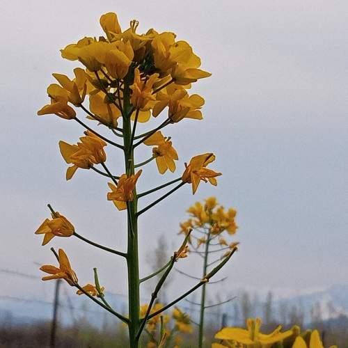 Photo #9829990