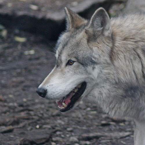 Photo #9830133