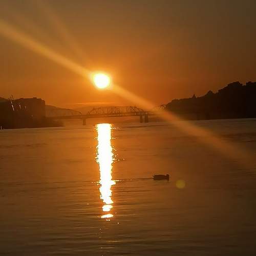 Photo #9831140