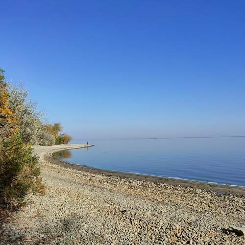 Photo #9831237
