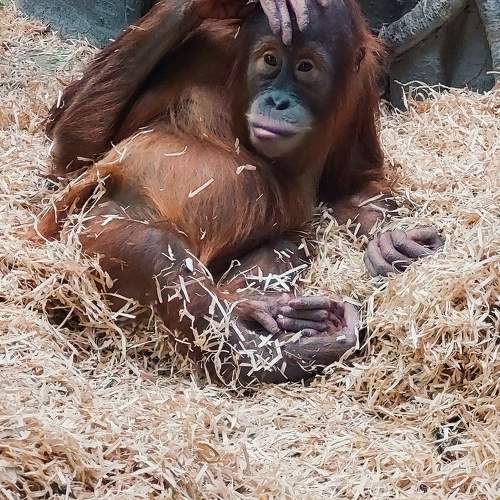 Photo #9831451