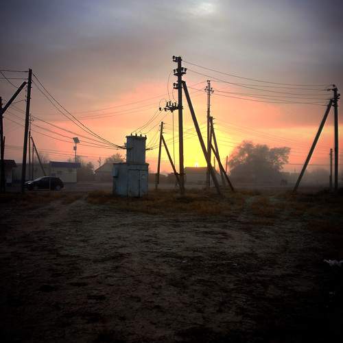 Photo #9831512