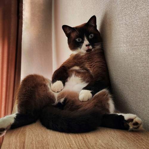 Photo #9831572