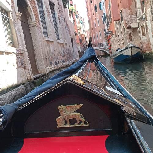 Photo #9831799