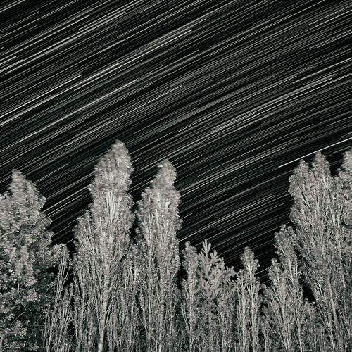 Photo #9831915