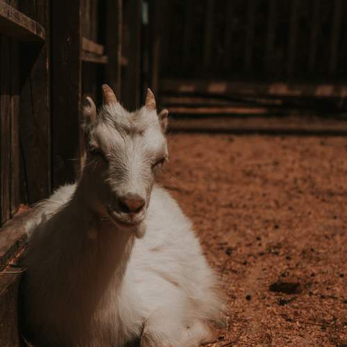 Photo #9832291