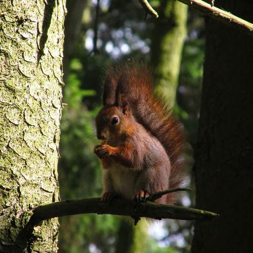 Photo #9832320