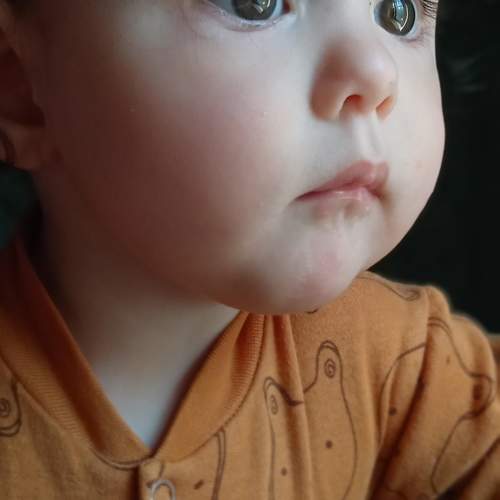 Photo #9832656