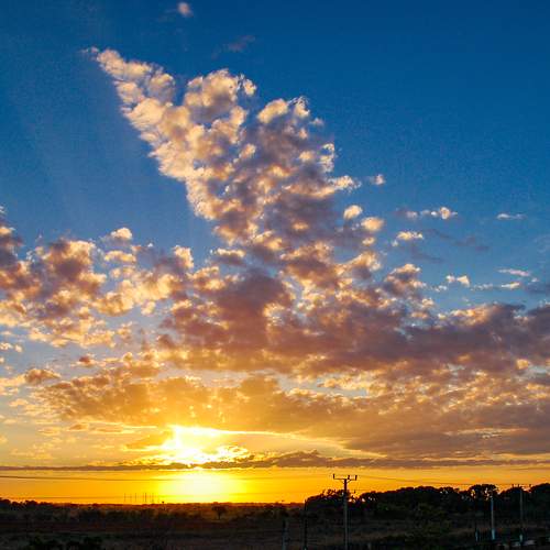 Photo #9832920