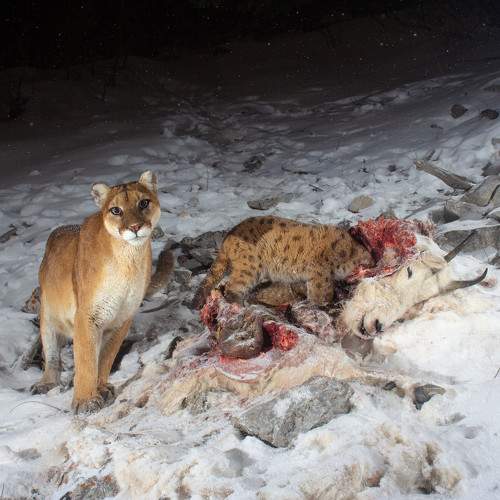 Photo #9833152