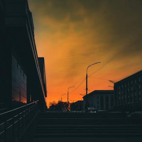 Photo #9833198