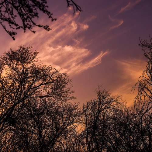 Photo #9833330
