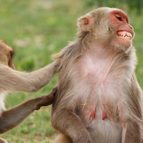 Photo #9833802