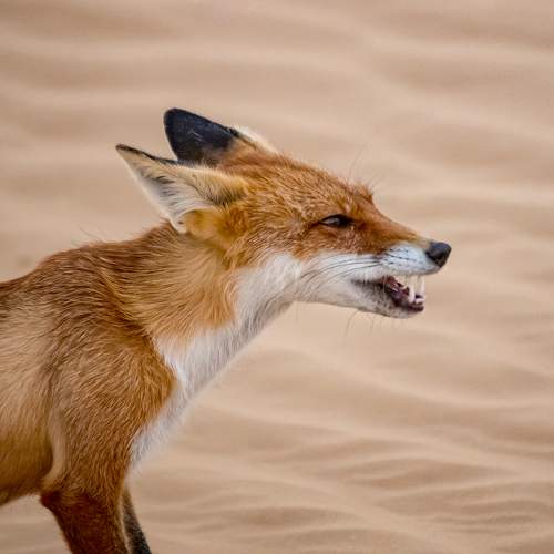 Photo #9834015
