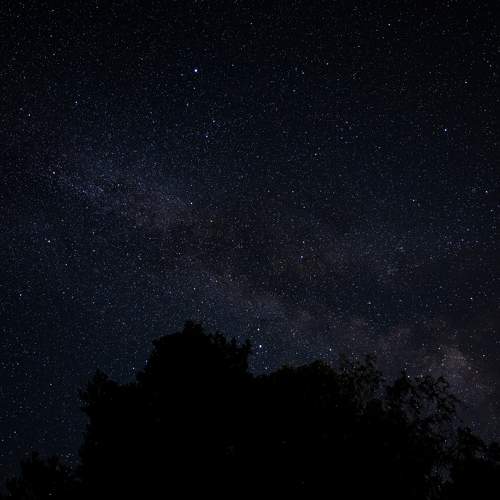 Photo #9834053