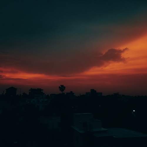 Photo #9834099