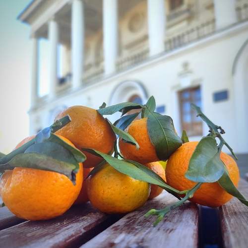Photo #9834469