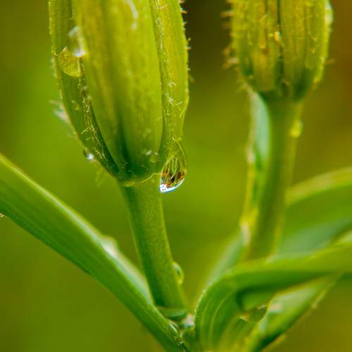 Photo #9834657