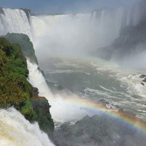Photo #9834905