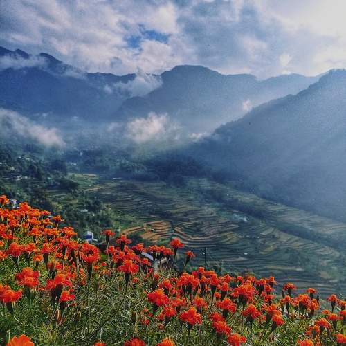 Photo #9835098
