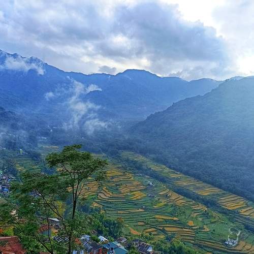 Photo #9835099