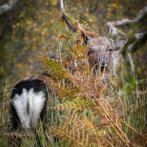 Photo #9835337