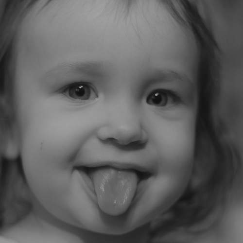 Photo #9835531