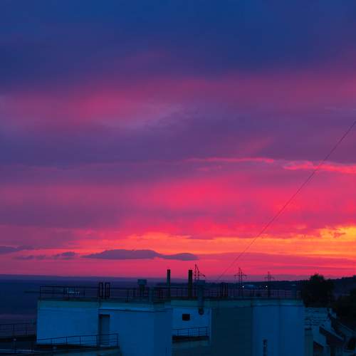 Photo #9835567