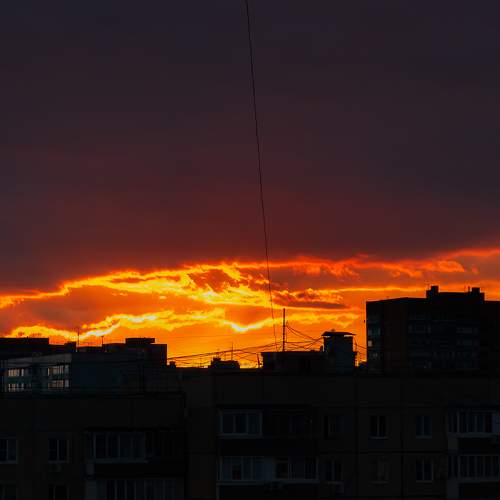 Photo #9835568