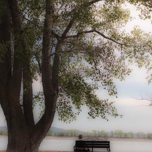 Photo #9835815