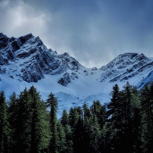 Photo #9835887