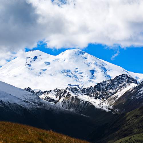 Photo #9836040