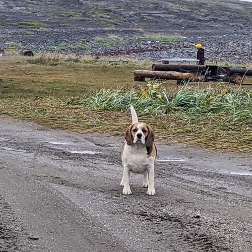 Photo #9836159