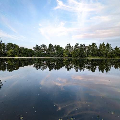 Photo #9836168