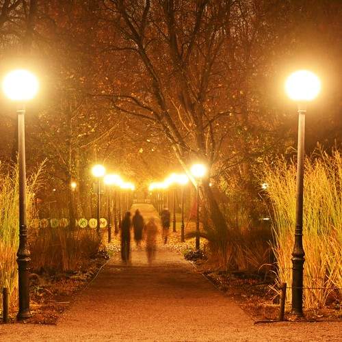 Autumn mood