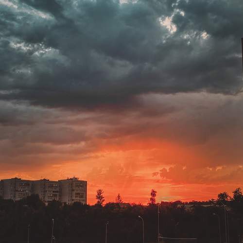 Photo #9836526