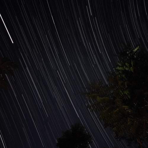 Photo #9837281
