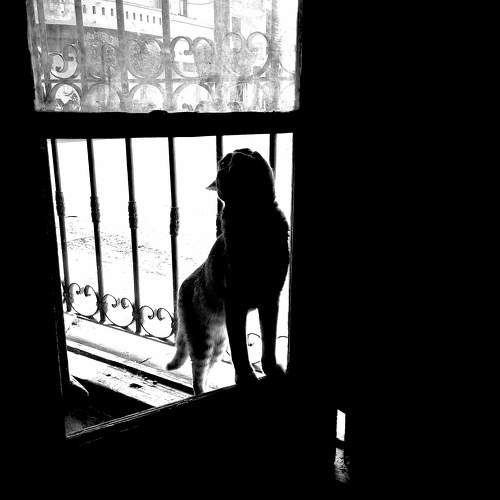 Photo #9837343