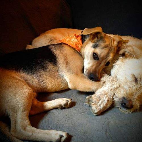 Photo #9837432