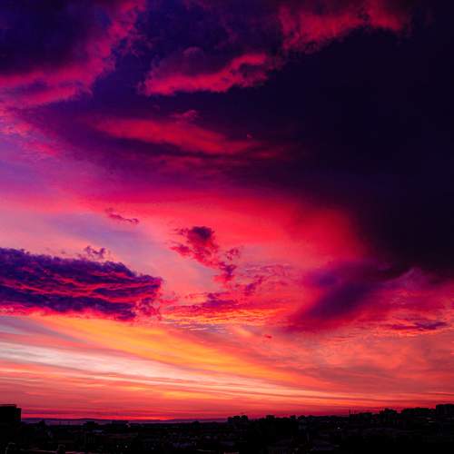 Photo #9837550