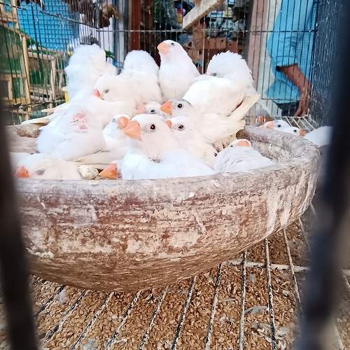 Photo #9837592