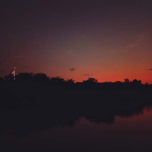 Photo #9837616