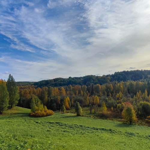 Photo #9837844