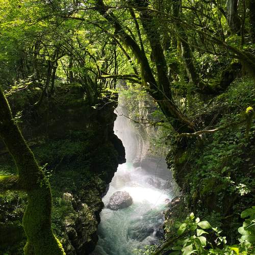 Photo #9837847