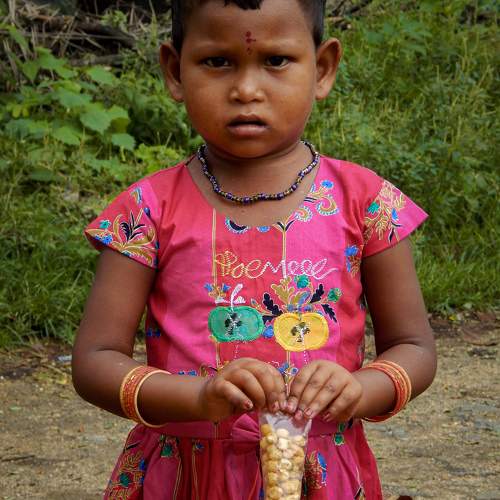 Photo #9838133