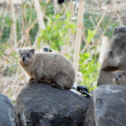 Photo #9838919