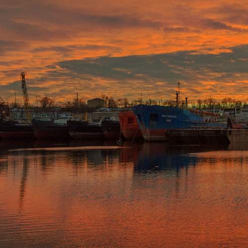 Photo #9839241