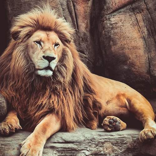 Photo #9839566