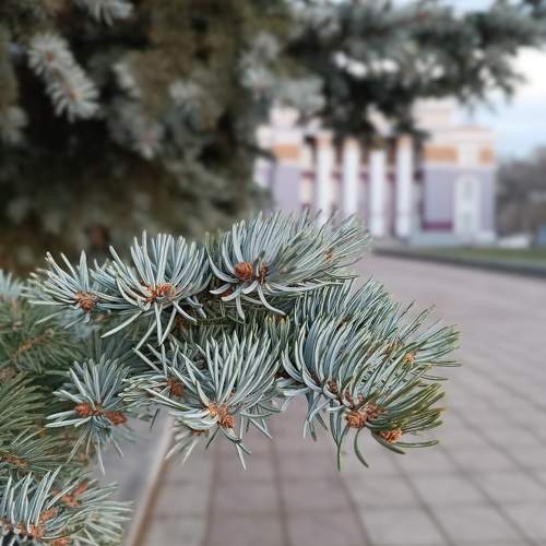 Photo #9839796